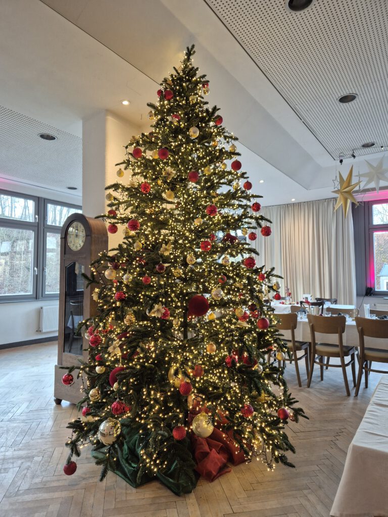 Weihnachtsbaum im Bootshaus